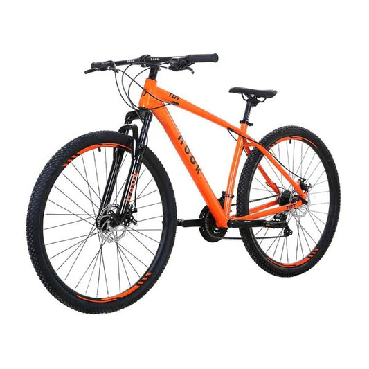 Bicicleta mountain bike