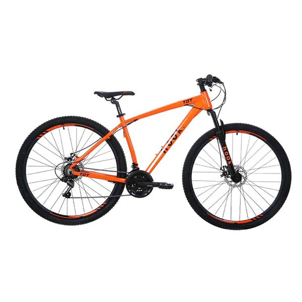 Bicicleta mountain bike