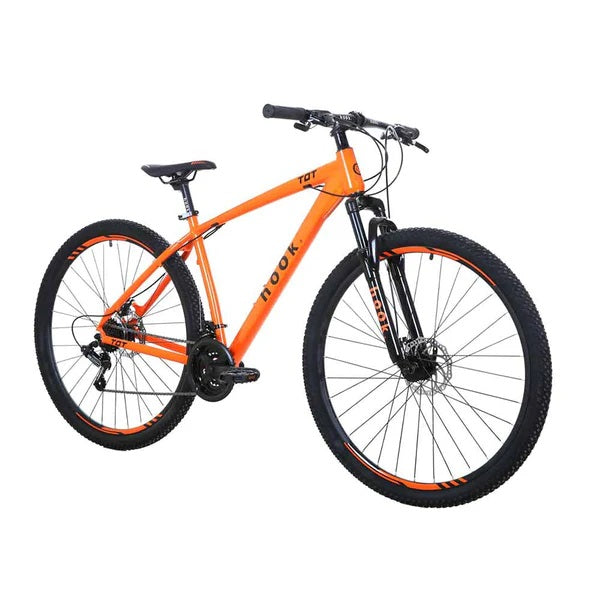 Bicicleta mountain bike